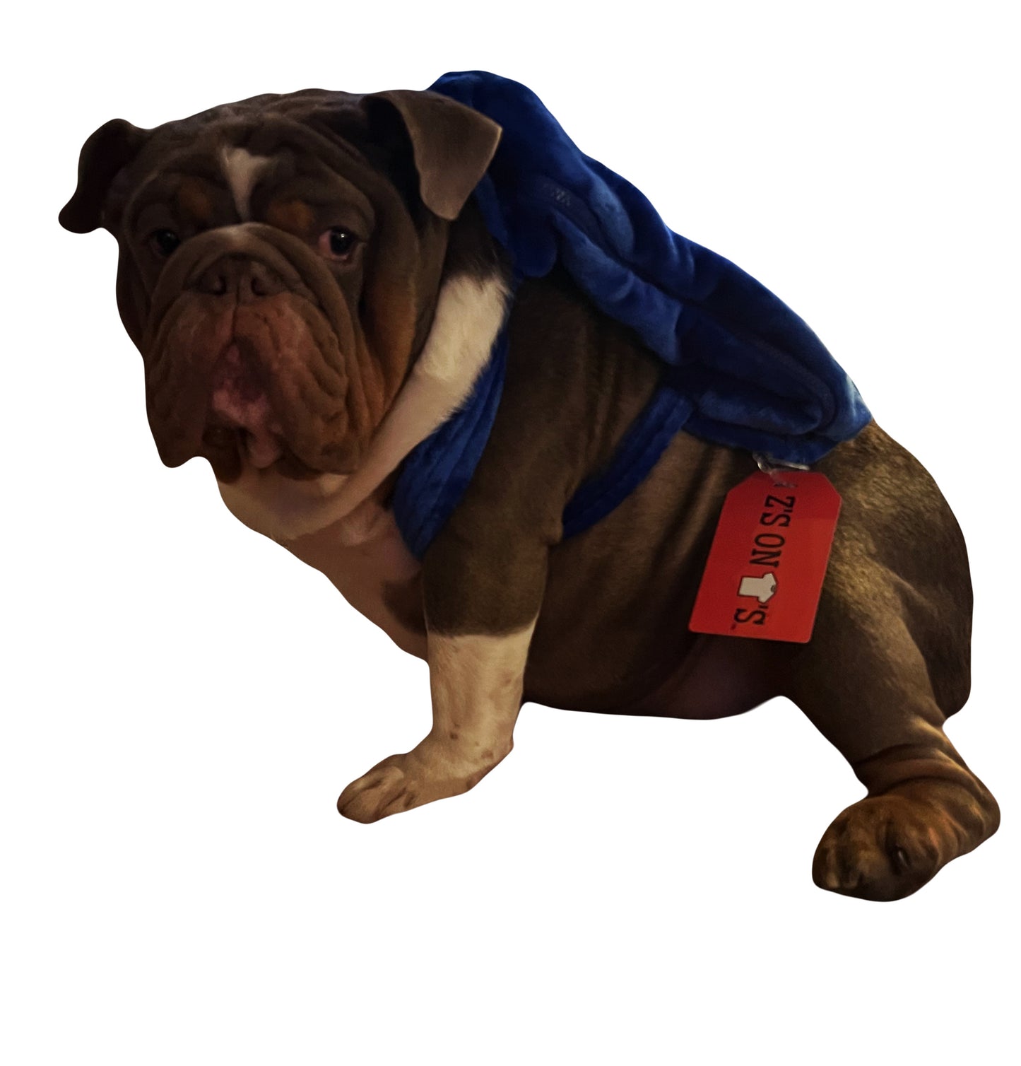 Medium Blue Pillow Backpack